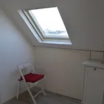 Trietje * 헨트