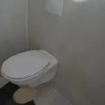 Trietje * 헨트