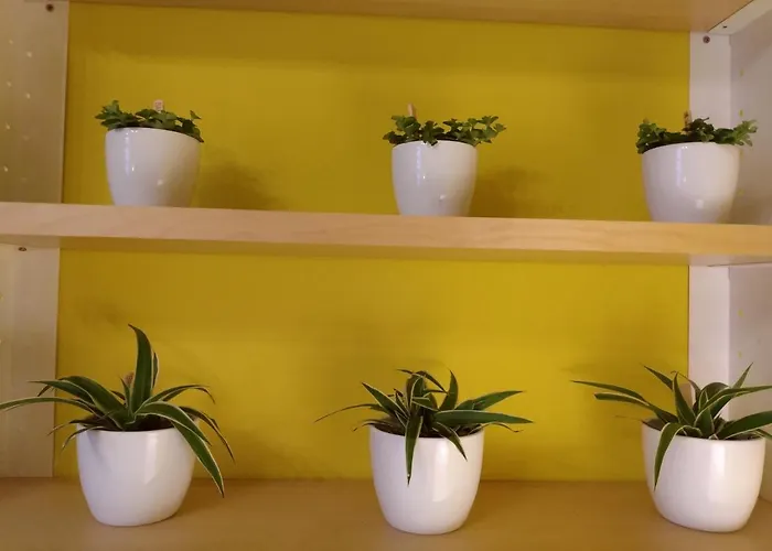 Tatil Evi Trietje Gent