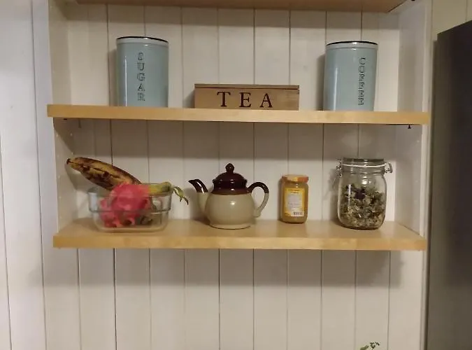 Trietje Tatil Evi Gent